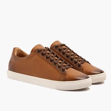 Thursday Boots Premier Low Tops Läder Rugged & Resilient Sneakers Herr Guld | SE370UZG
