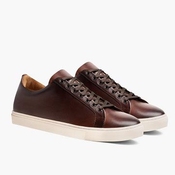 Thursday Boots Premier Low Tops Läder Rugged & Resilient Sneakers Herr Kaffe | SE371YXF