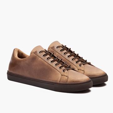 Thursday Boots Premier Low Tops Läder Sneakers Herr Bruna | SE372TCE