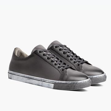 Thursday Boots Premier Low Tops Läder Sneakers Herr Grå | SE376QMA